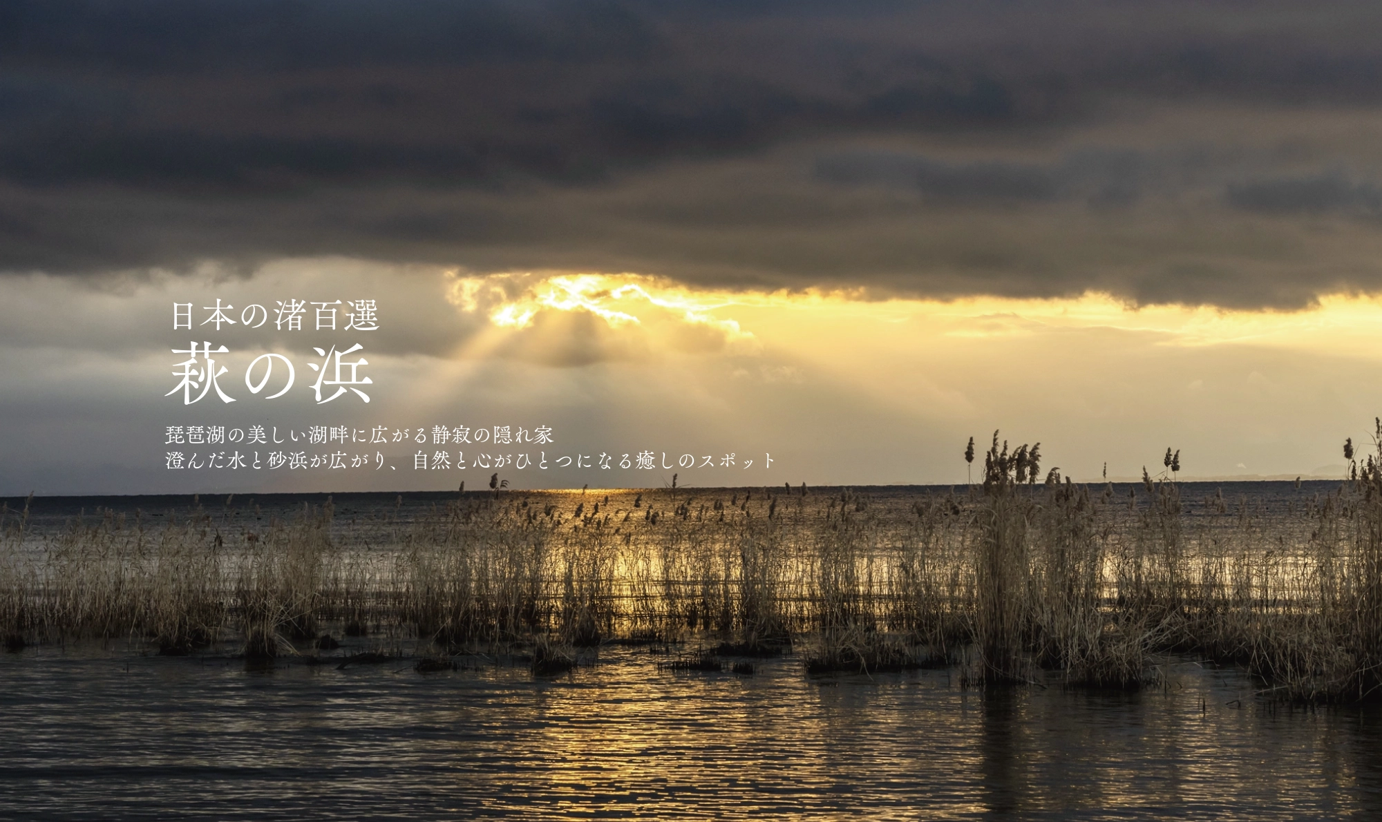 萩の浜Garden