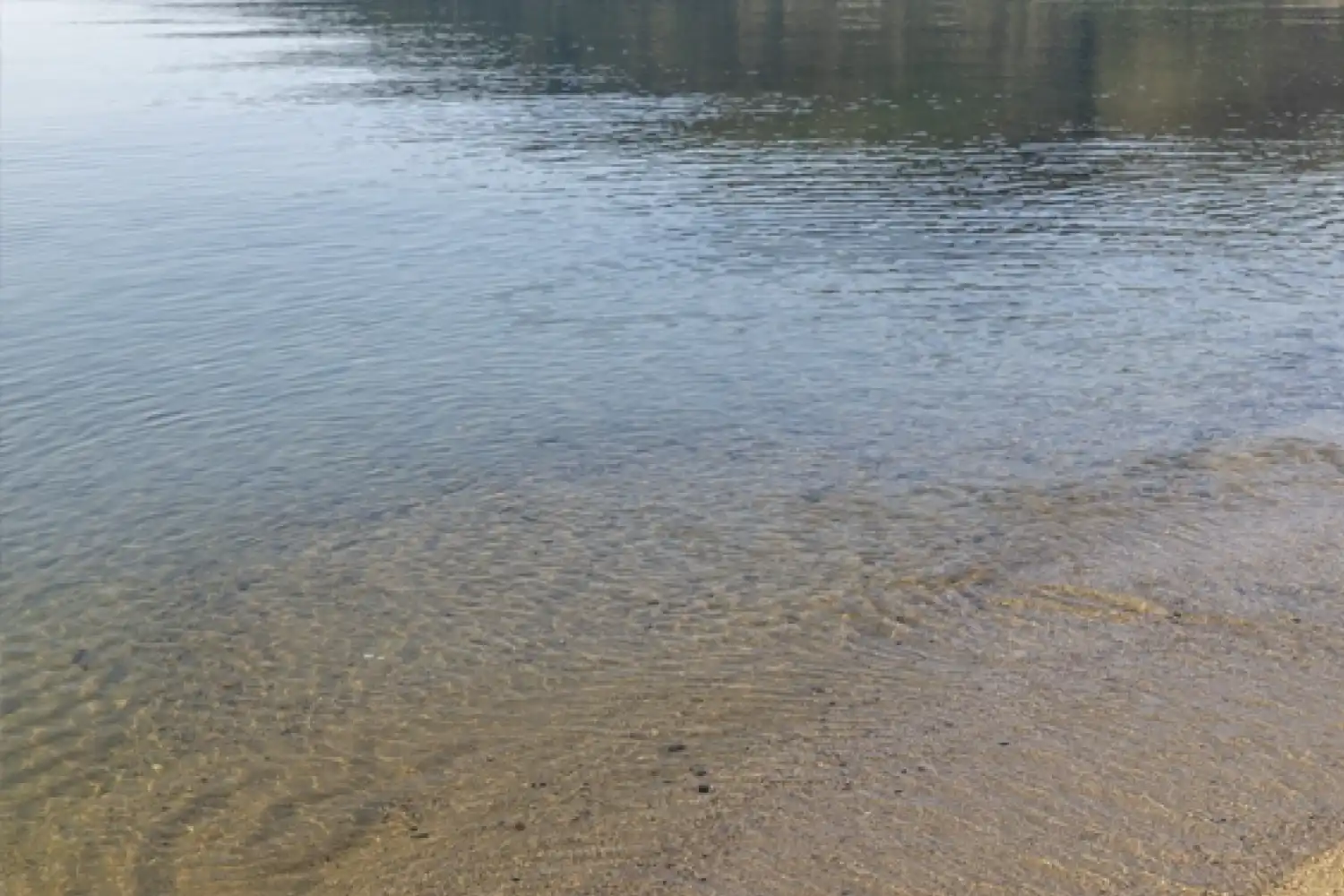 萩の浜